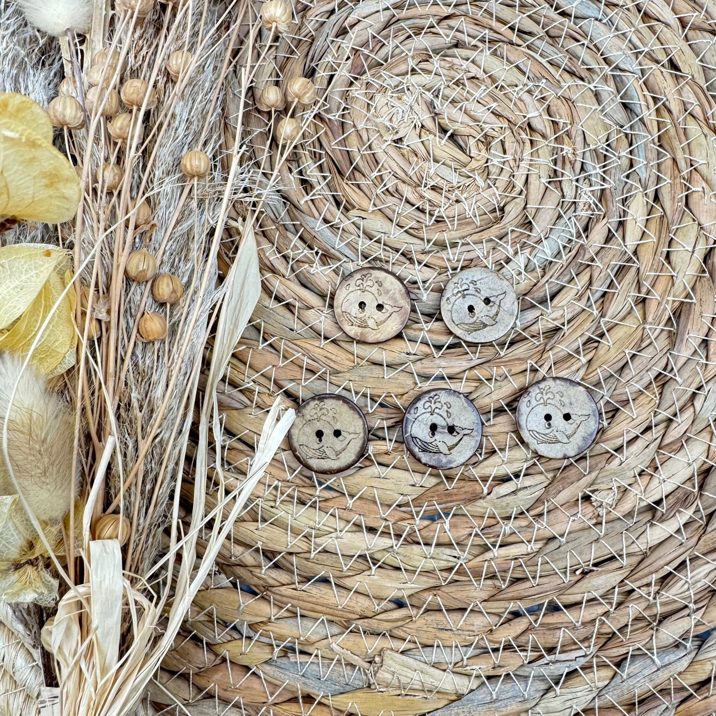 coconut buttons 10mm
