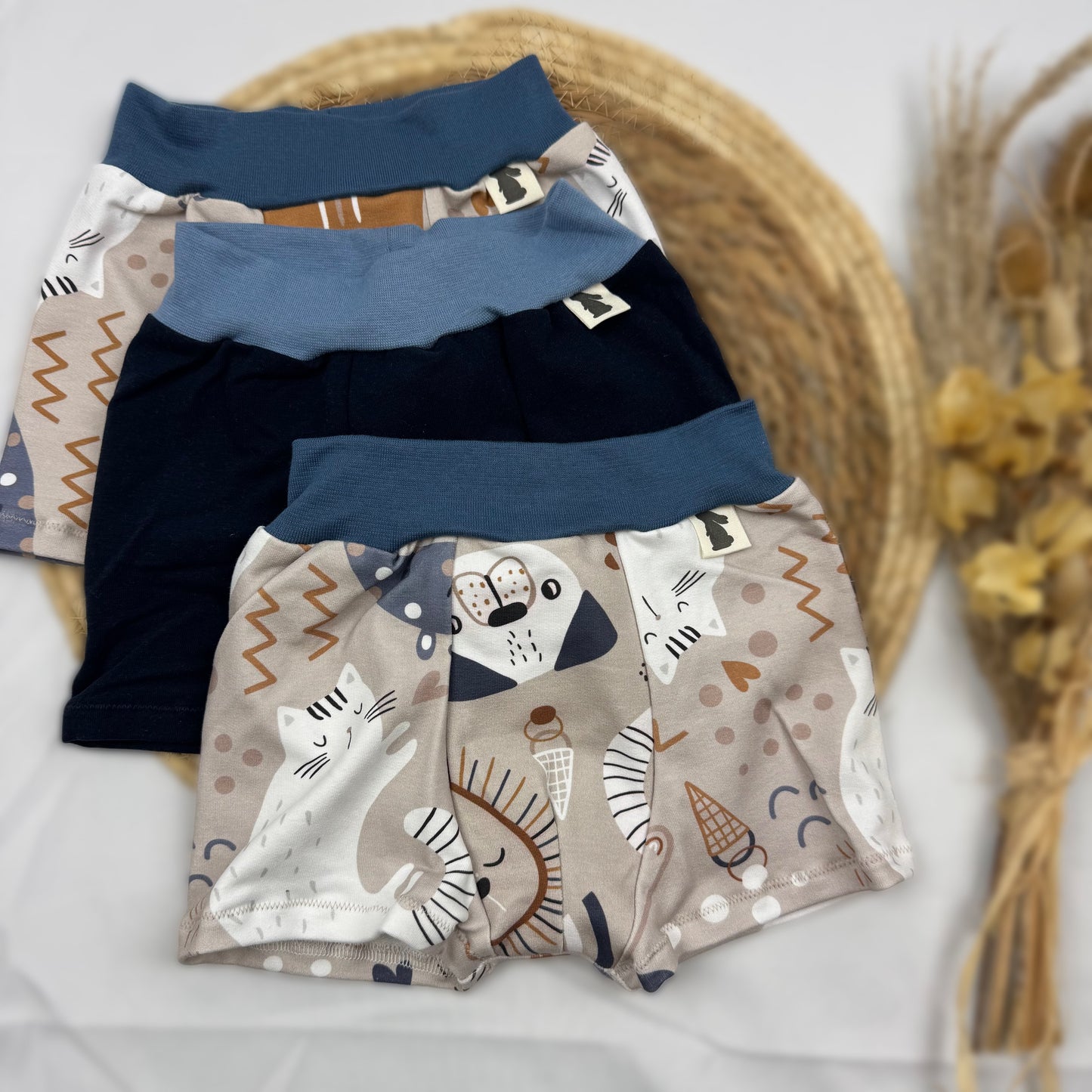 Underpants (boy, set of 3)