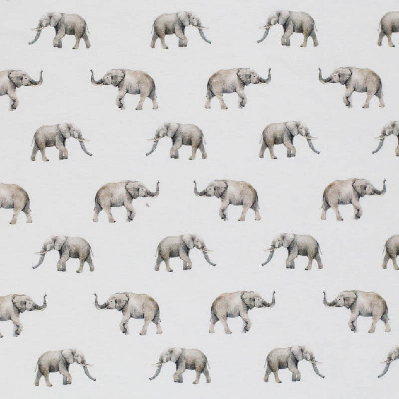 cotton jersey "Elephant Parade"