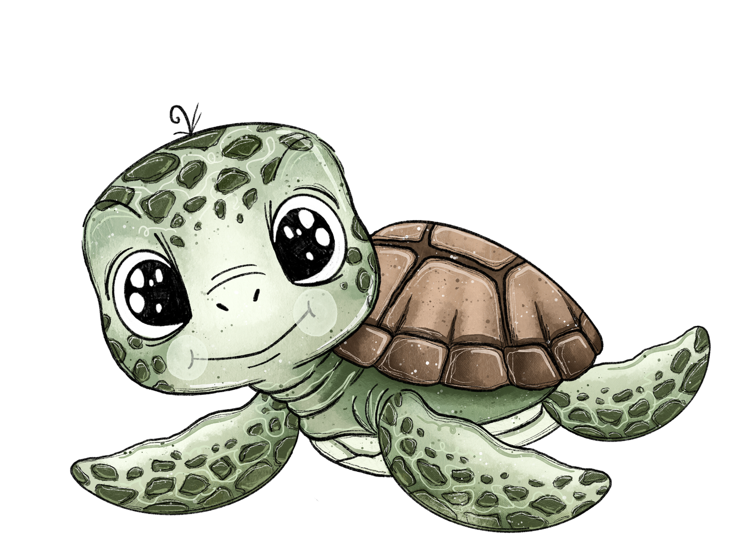 Bügelbild Schildkröte