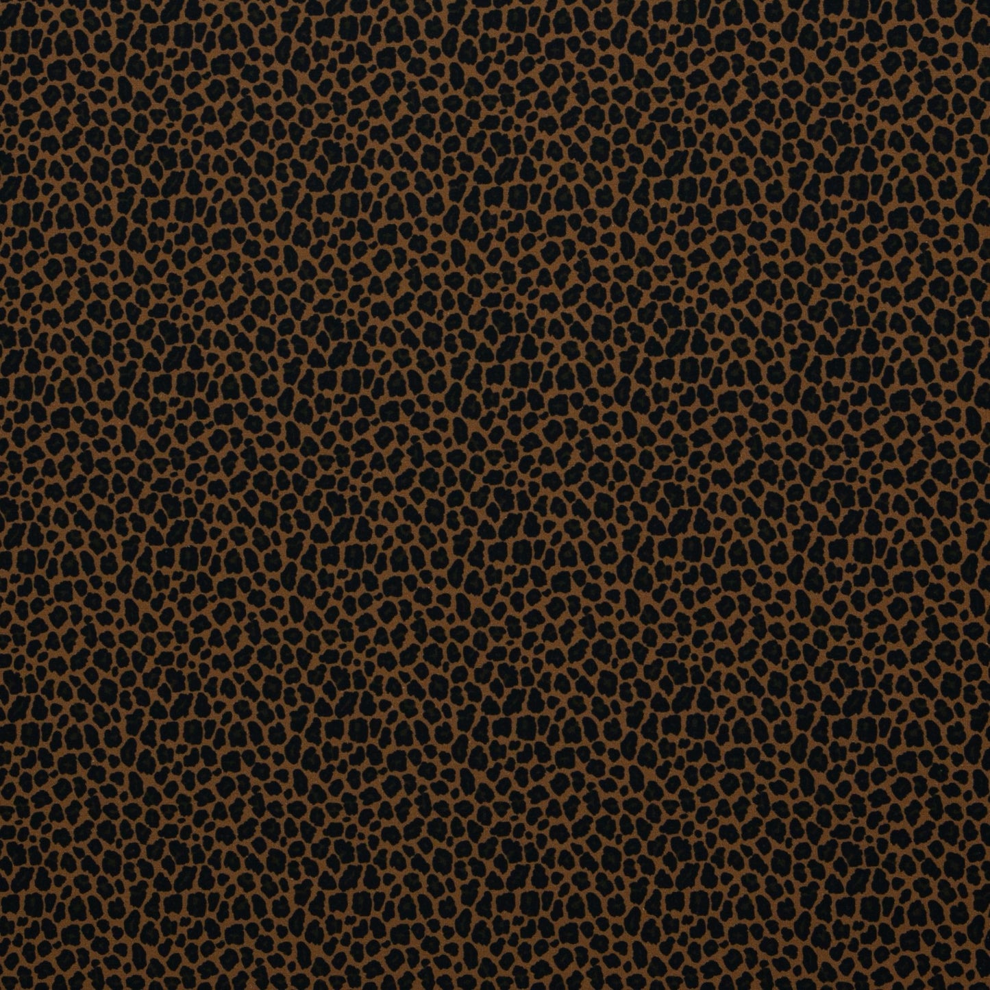 Jersey Leo Brown