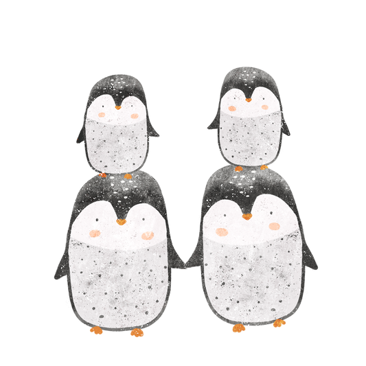 velvet cord "old pink"