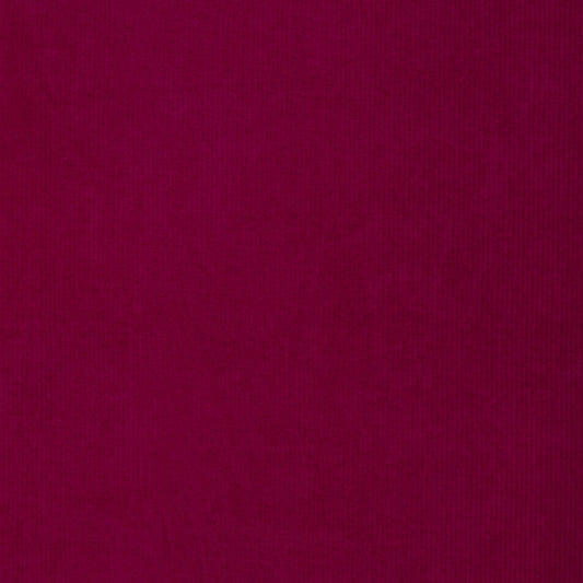 Cordjersey Pink | Swafing
