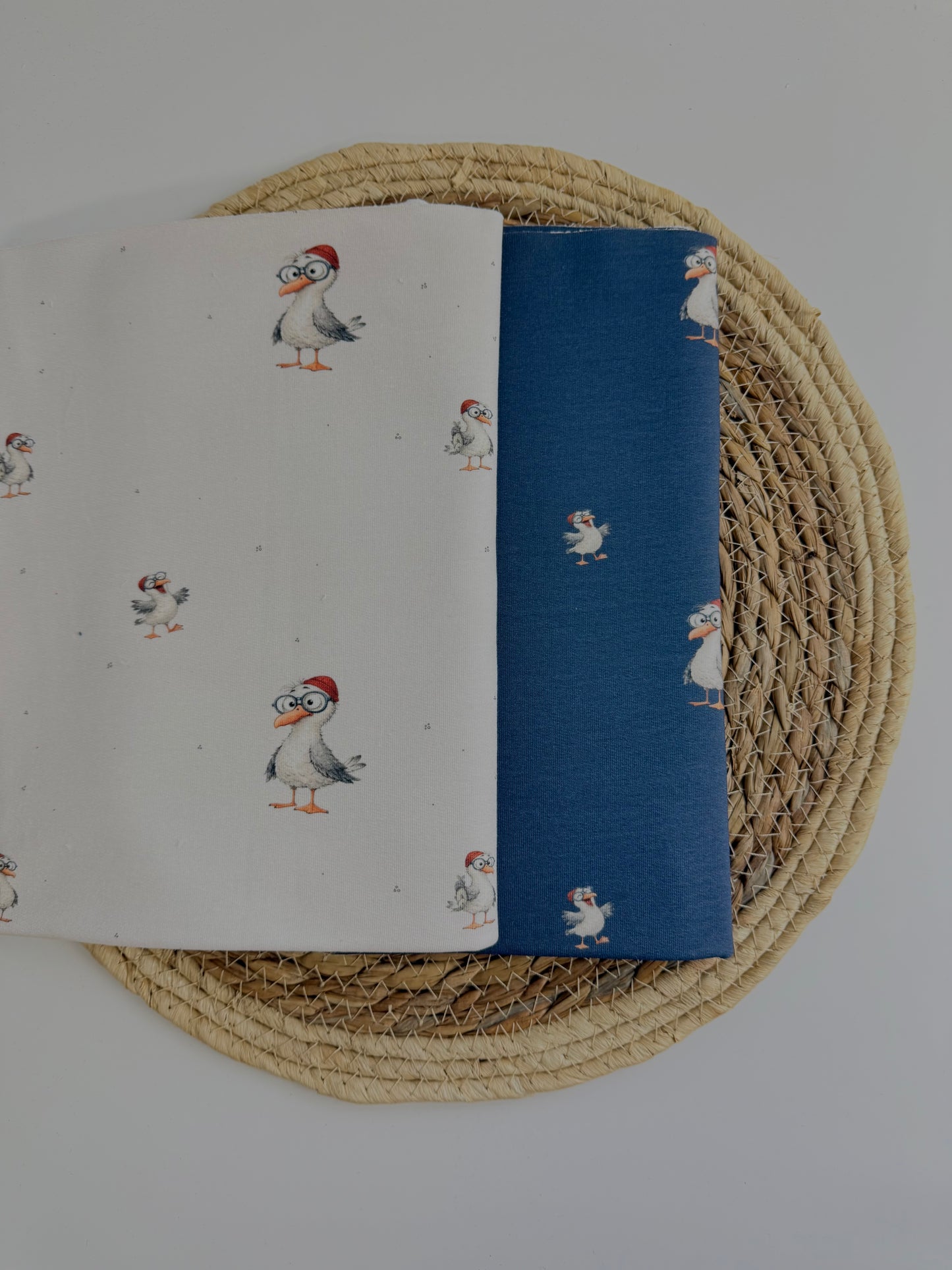 French Terry Möwe Blau (Bio)