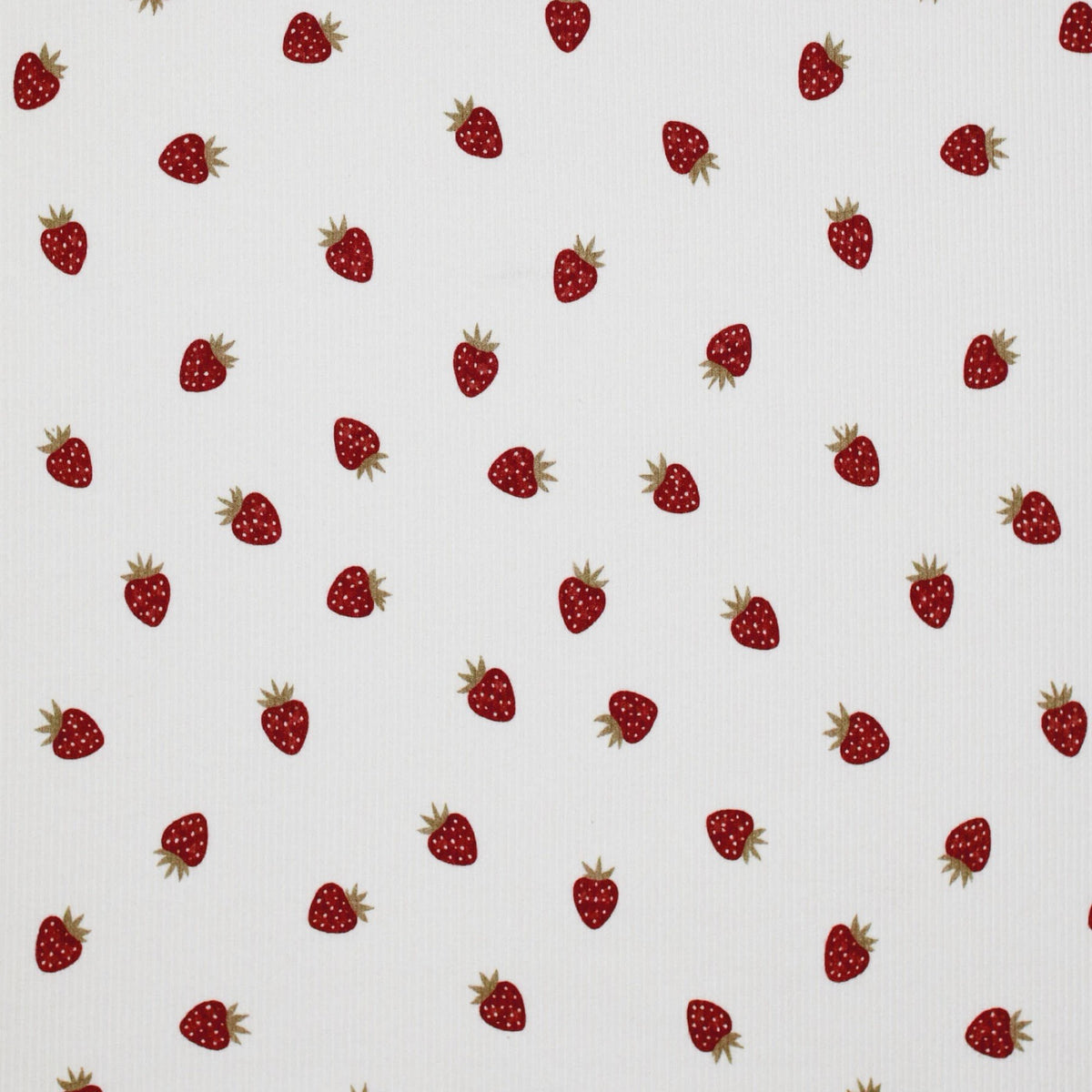 Ribjersey | Erdbeeren