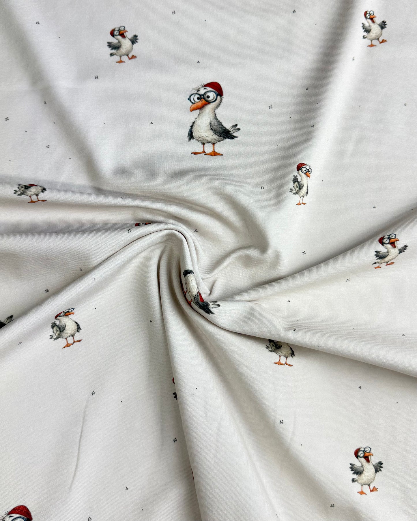 Jersey Möwe (Bio)