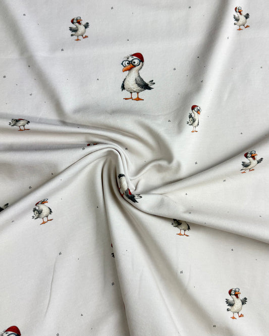 Jersey Möwe (Bio)